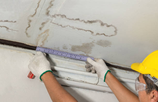 Reliable Water Damage contractor in Westover, WV by Water Damage Irwin